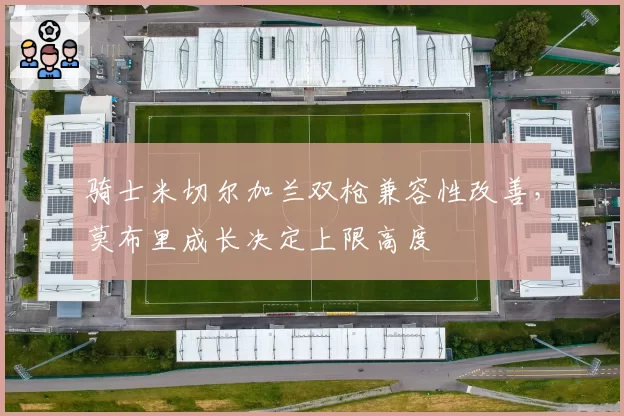 骑士米切尔加兰双枪兼容性改善,莫布里成长决定上限高度