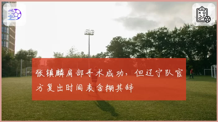 张镇麟肩部手术成功，但辽宁队官方复出时间表含糊其辞
