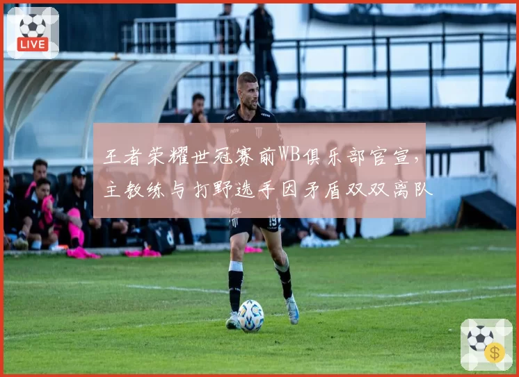 王者荣耀世冠赛前WB俱乐部官宣,主教练与打野选手因矛盾双双离队